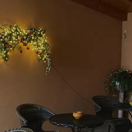 Stefania Cavasso Nuovo